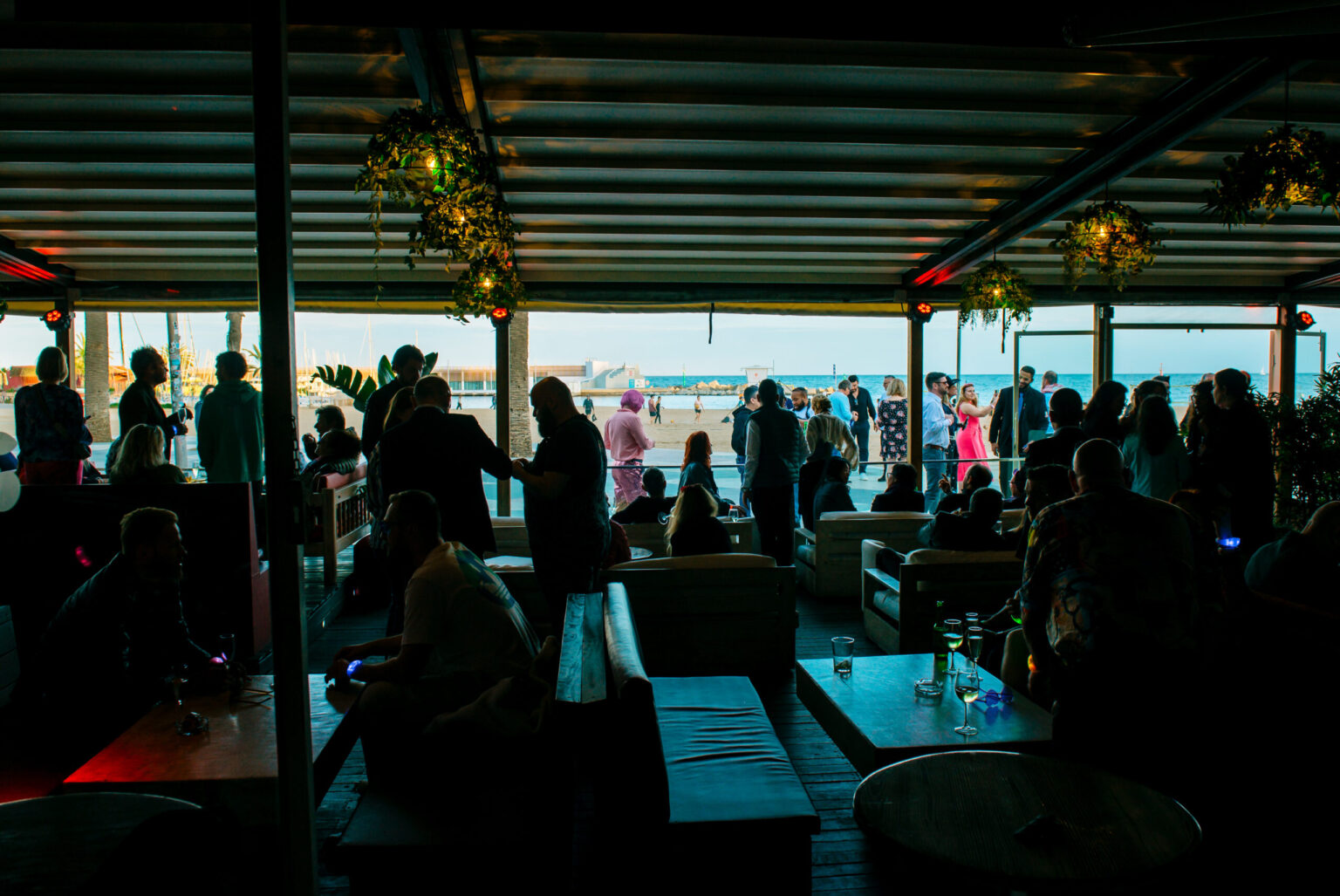 Pacha_065-1-scaled